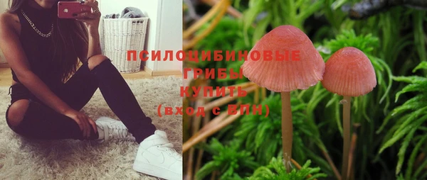 а пвп мука Алзамай