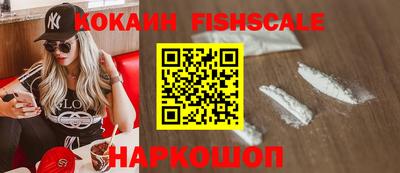 крисы Шахты