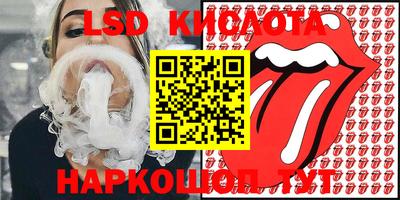крисы Шахты