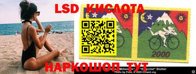 крисы Шахты