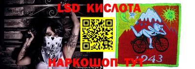 крисы Шахты