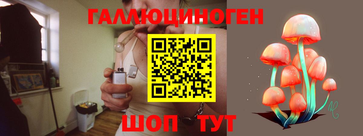 Галлюциногенные грибы Psilocybe Аргун